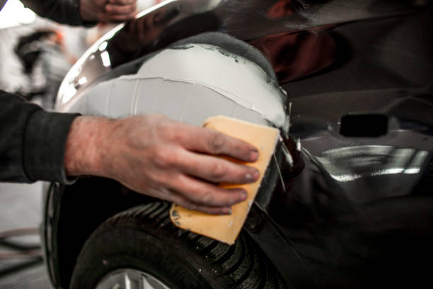 Best Mold Damage Restoration  in Allendale, MI