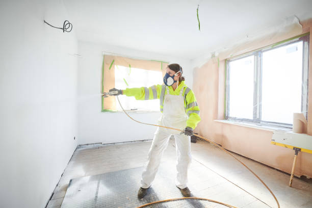 Mold Remediation for Vacation Homes in Allendale, MI