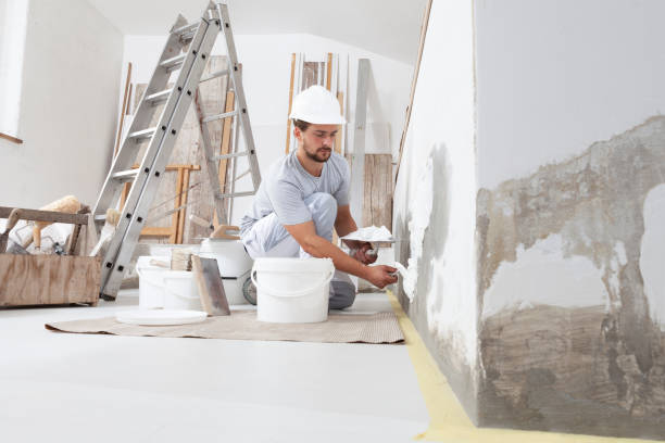 Best Black Mold Removal  in Allendale, MI