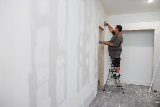 Best Mold-Related Health Consultation  in Allendale, MI