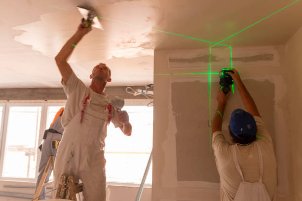 Best Mold Removal for HVAC Installations  in Allendale, MI