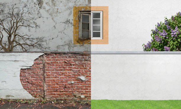 Best Mold Remediation for Vacation Homes  in Allendale, MI