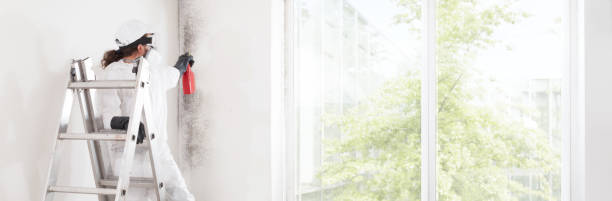Best Real Estate Mold Inspection  in Allendale, MI