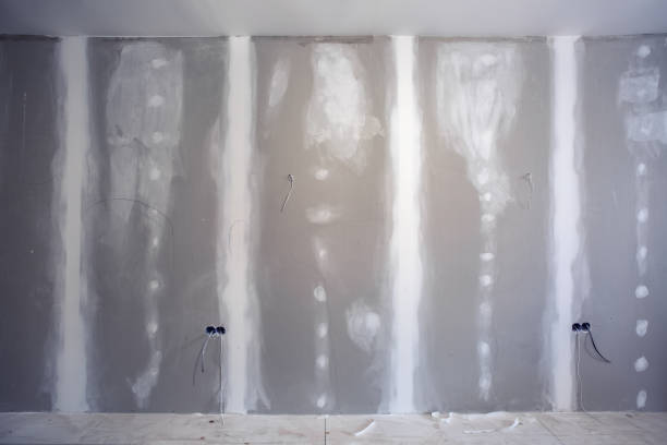 Best Post-Construction Mold Inspection  in Allendale, MI